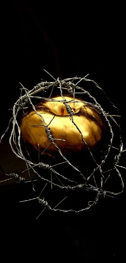 Golden apple wrapped in barbed wire on a black backdrop wallpaper.