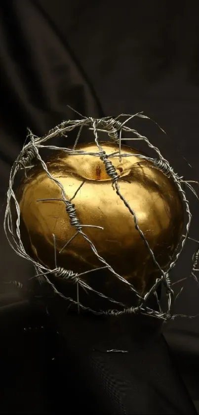 Golden apple encircled with barbed wire on dark background.