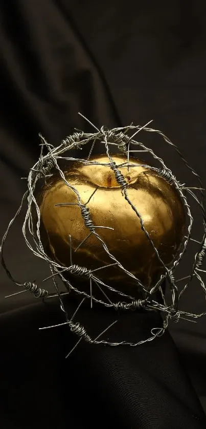 Golden apple with barbed wire on dark fabric background.