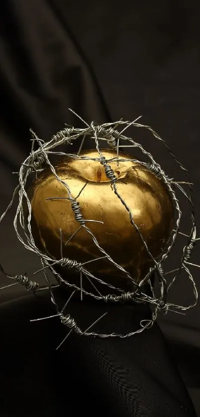 Golden apple wrapped in barbed wire on dark background.