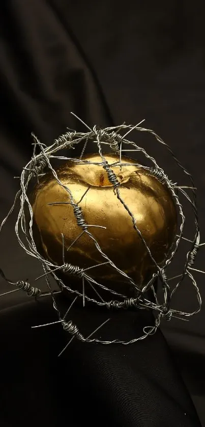 Golden apple wrapped in barbed wire on dark fabric.