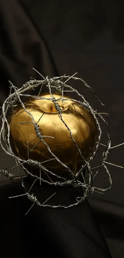 Golden apple entangled in barbed wire on dark fabric background.