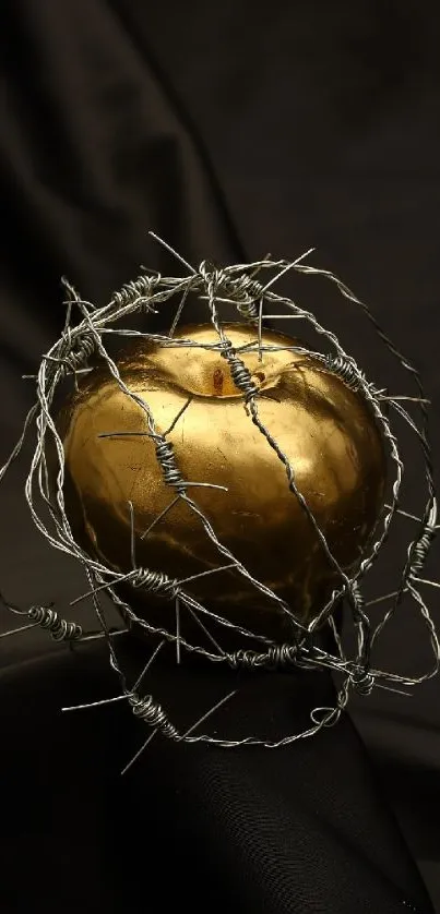 Golden apple encased in barbed wire on dark background.