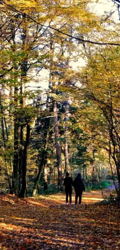 A serene forest path with golden autumn leaves and sunlight streaming through trees.