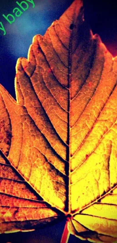 Golden leaf on dark background mobile wallpaper.