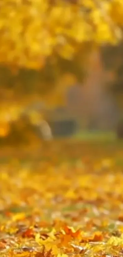 Golden autumn leaves covering ground in a serene park setting.