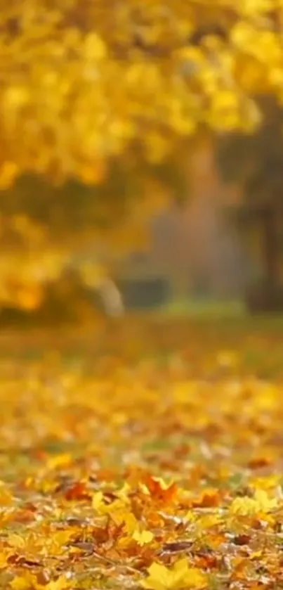 Golden autumn leaves on ground with blurry background, perfect for mobile wallpaper.