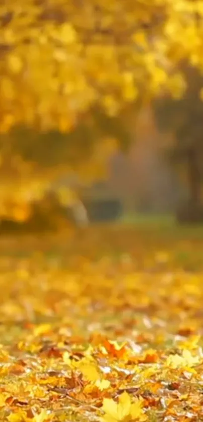 Golden autumn leaves on the ground in a scenic fall landscape.