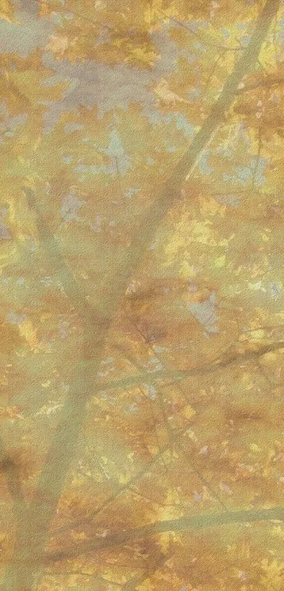 Golden autumn leaves with tree branches on a serene background.