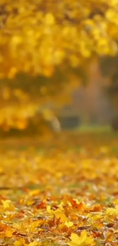 Golden autumn leaves cover the ground in a tranquil nature scene.