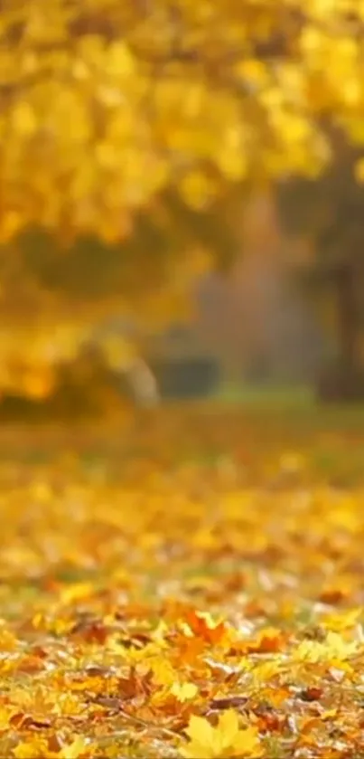 Golden autumn leaves on ground in a serene setting.