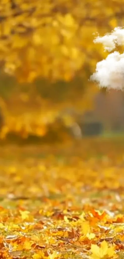 Golden autumn landscape with leaves and cloud.