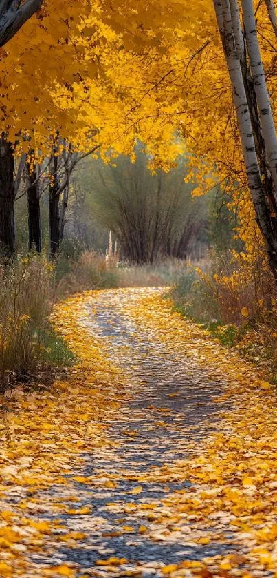 Beautiful autumn pathway with golden leaves and tall trees.