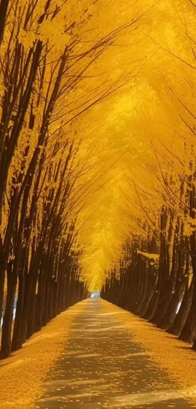 Golden autumn tree-lined pathway with yellow leaves.