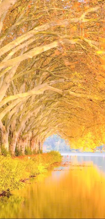 Golden autumn riverbank with orange foliage.