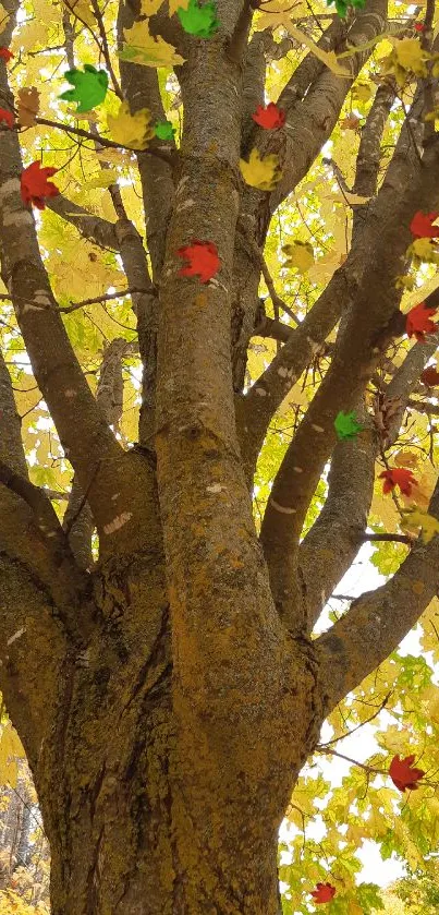 Golden autumn tree branches and leaves create a vibrant natural background.