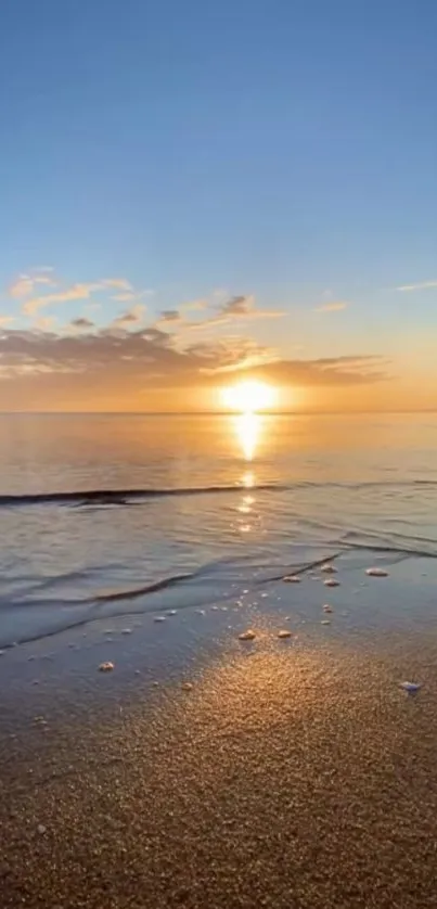 Serene golden beach sunset with calm ocean.