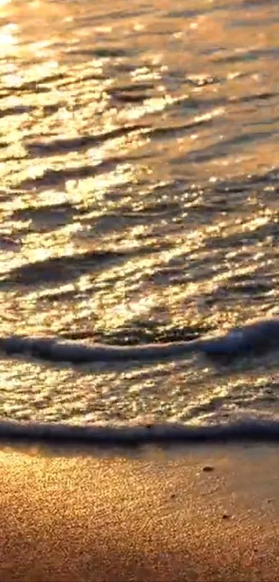 Golden sunset on the beach with tranquil waves.