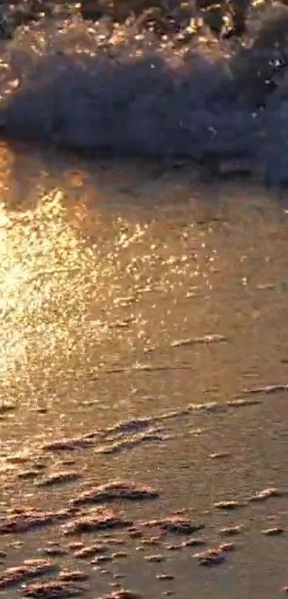 Golden sunset reflecting on a sandy beach with gentle ocean waves.