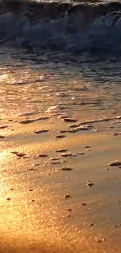 Golden sunset over a tranquil beach with shimmering waves.