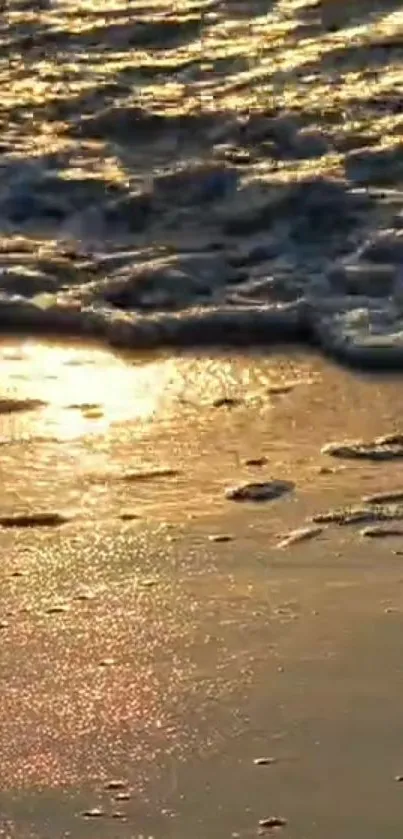 Golden sunset over a tranquil beach with gentle waves and shimmering golden sand.