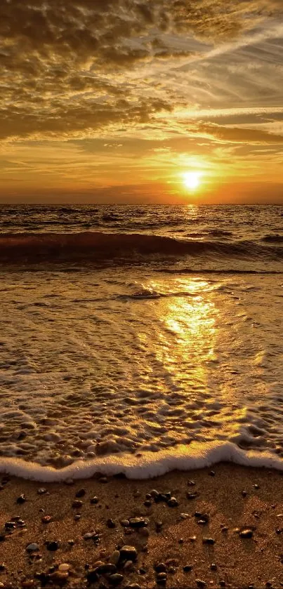 Golden sunset over a tranquil beach with waves gently lapping the shore.