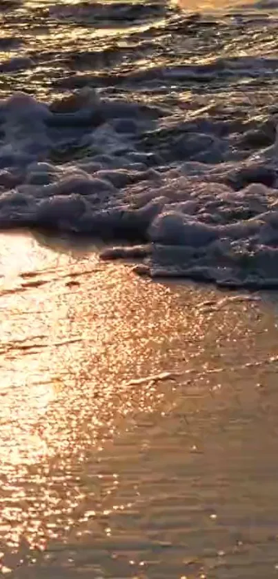 Golden tones of sunset waves on a sandy beach.