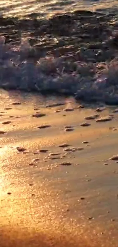 Golden sunset waves gently crashing on the beach.