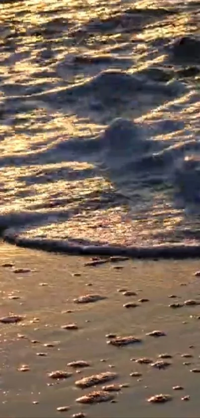 Golden sunset waves on a serene beach.