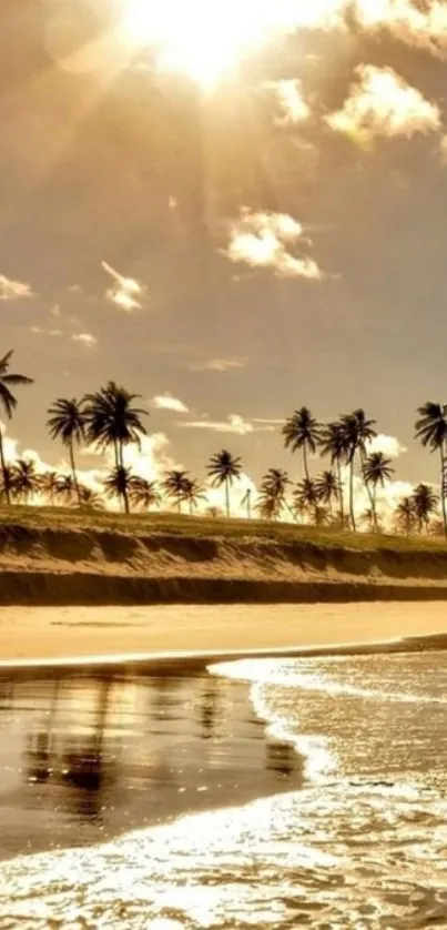 Golden beach with palm trees and sunlit sky.