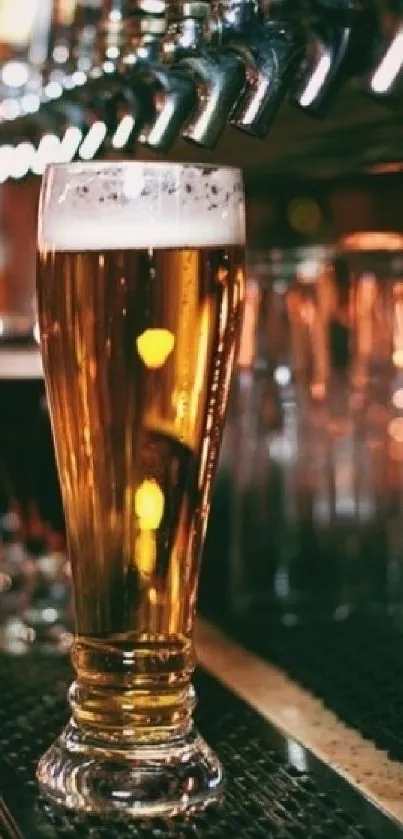 Golden beer glass at a bar with taps in the background.