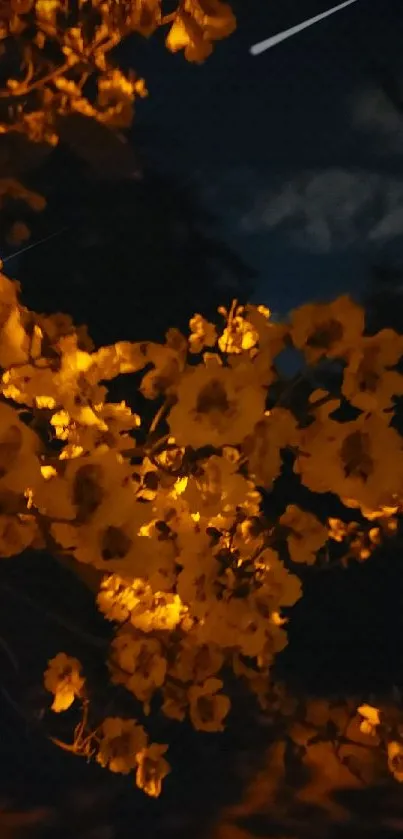 Golden flowers glowing against a dark sky.