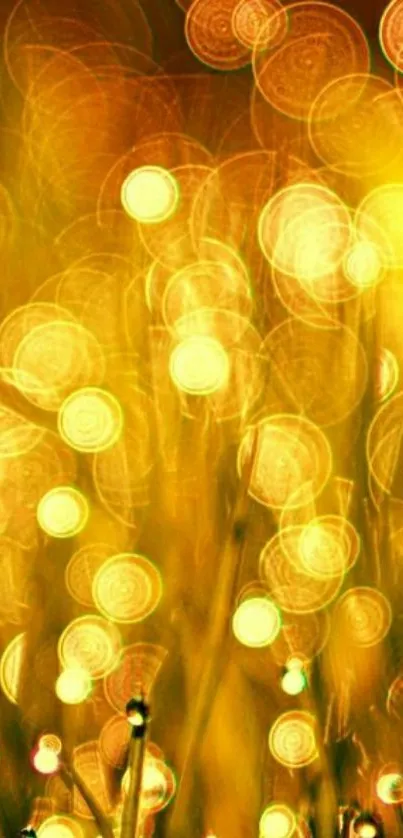 Golden bokeh light wallpaper with abstract glow.