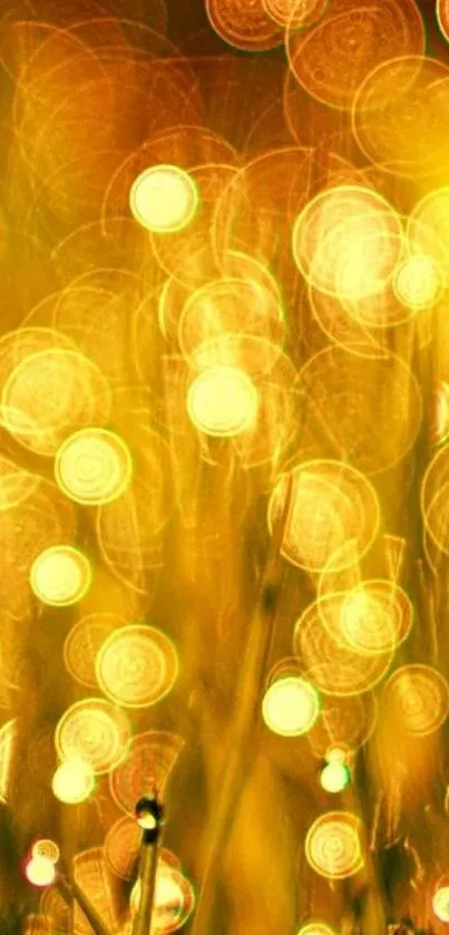 Golden bokeh lights creating an abstract, warm glow on a mobile wallpaper.