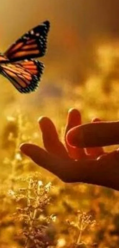 A hand reaching towards a butterfly in a golden light.