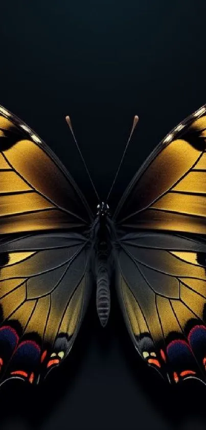 Golden butterfly on a black background, perfect for mobile wallpaper.