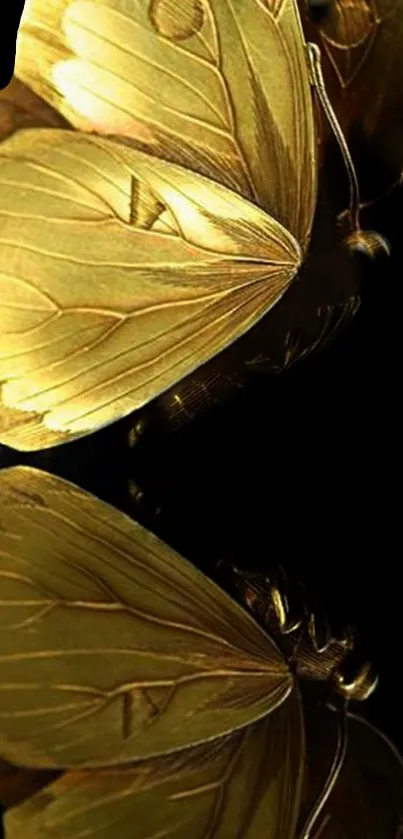 Golden butterfly with black reflection on wallpaper.