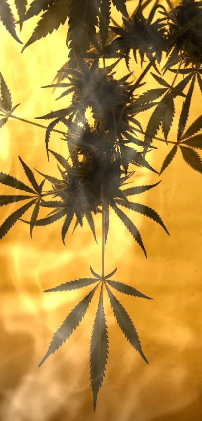 Golden illumination of cannabis leaves on a soothing phone wallpaper.