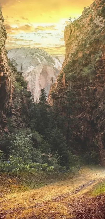 Golden canyon with a sunset over a rugged pathway.