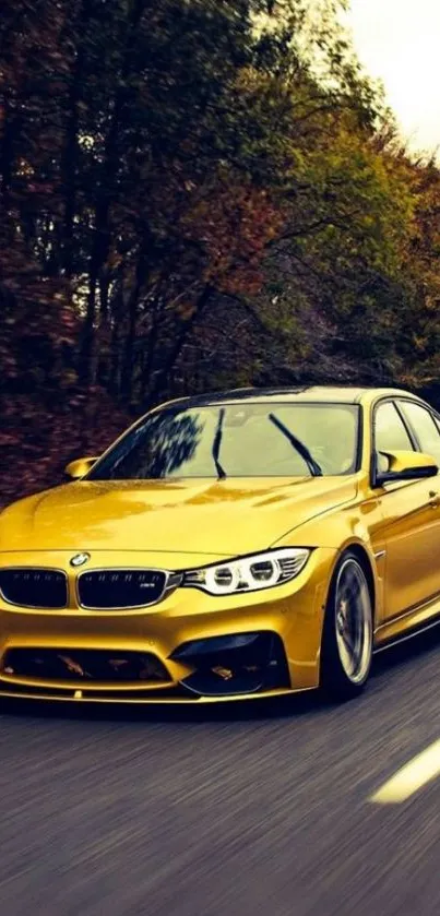 Luxury golden car driving through a scenic forest.