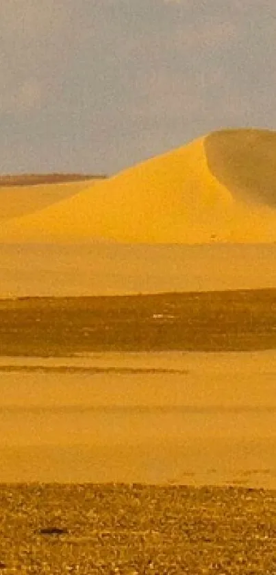 Golden sand dunes under a bright sky with a tranquil feel.