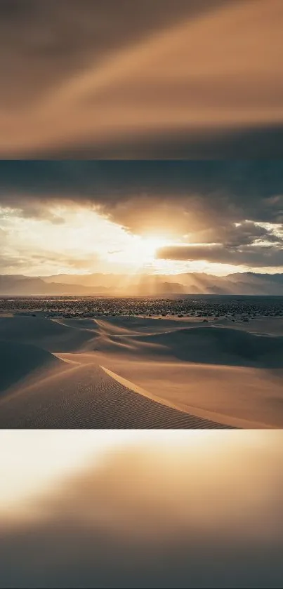 Golden sunset over desert sand dunes with radiant sunbeams.