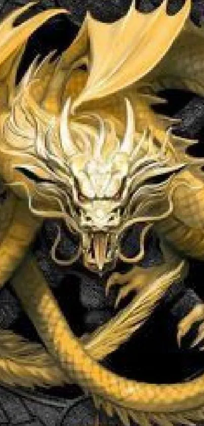 Golden dragon fantasy art wallpaper for mobile phones.