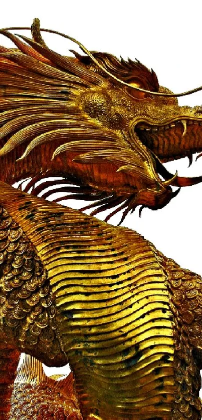 Golden dragon fantasy wallpaper with detailed design and vibrant colors.