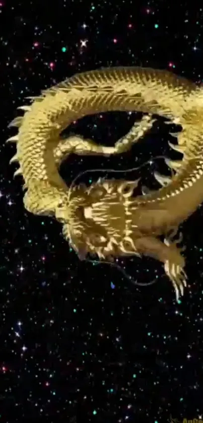 Golden dragon against a starry sky background.