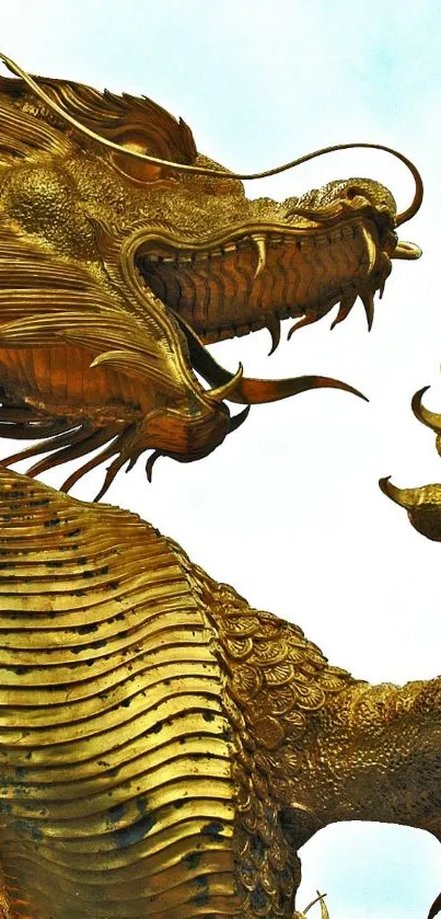 Golden dragon mobile wallpaper showcasing detailed Asian artistry.