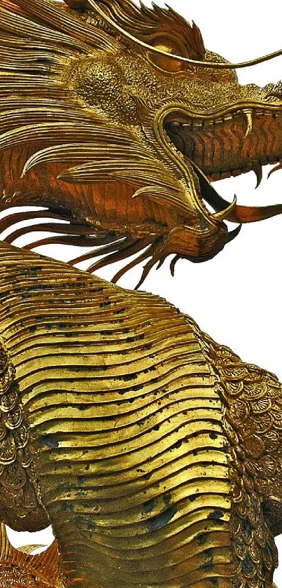 Golden dragon with intricate scales in vibrant mobile phone wallpaper.