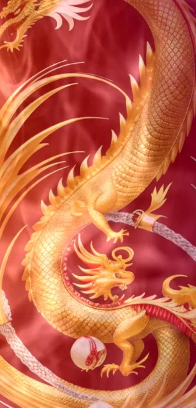 Golden dragon on a vibrant red fiery background for mobile wallpaper.