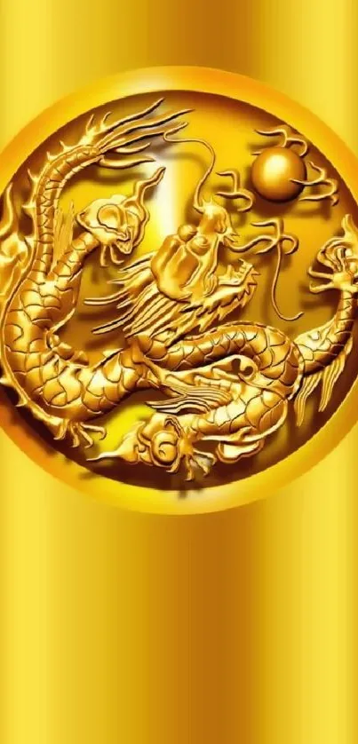 Luxurious golden dragon wallpaper with intricate designs.