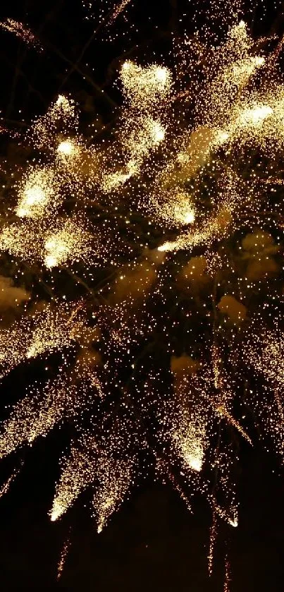 Golden fireworks burst in night sky background.